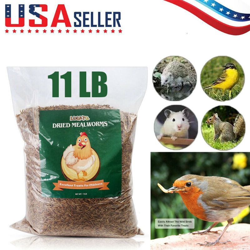 Photo 1 of 11 LBS Bulk Dried Mealworms for Wild Birds Food Blue Bird Chickens Hen Treats