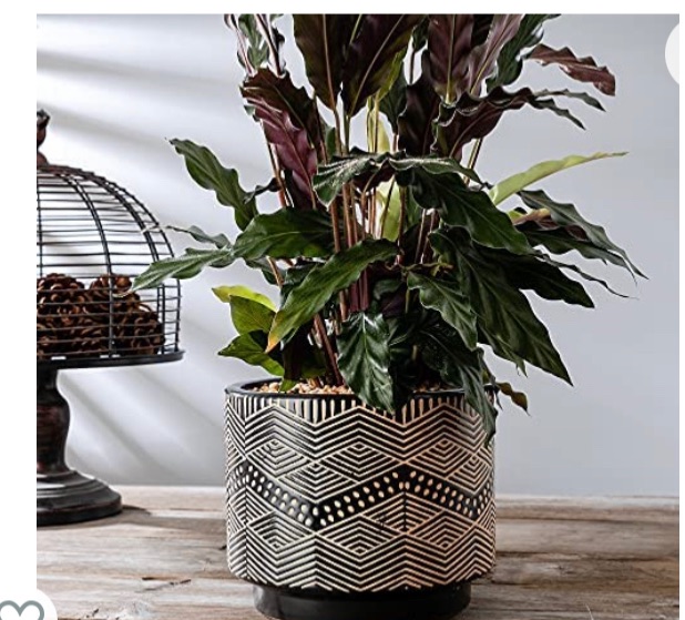 Photo 1 of Xela Ceramic Flower Pot Outdoor Indoor Planter - 6.5 Inch Cylindrical Plant Pot Garden Planter -Black…