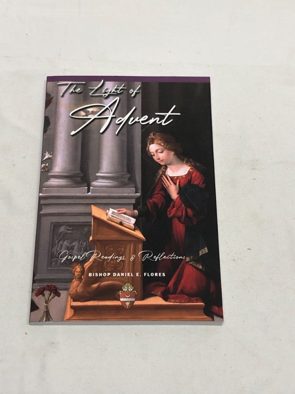 Photo 1 of THE LIGHT OF ADVENT PAPER BACK BOOK