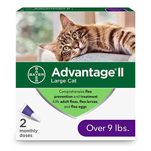 Photo 1 of Advantage II 2-Dose Flea Prevention and Treatment for Large Cats, Over 9 Pounds