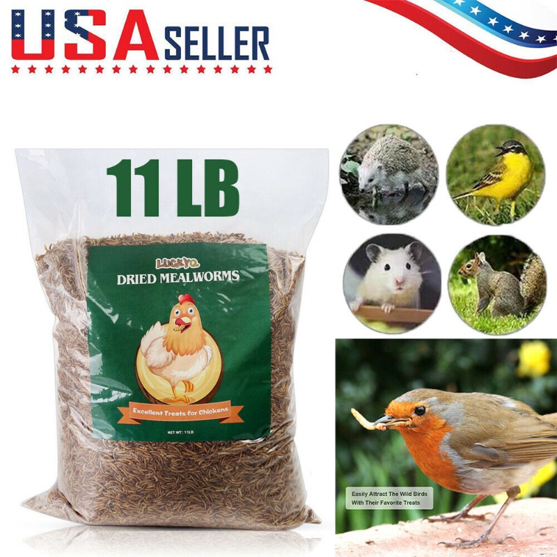 Photo 1 of 11 LBS Bulk Dried Mealworms for Wild Birds Food Blue Bird Chickens Hen Treats
Exp Jul 10 2023