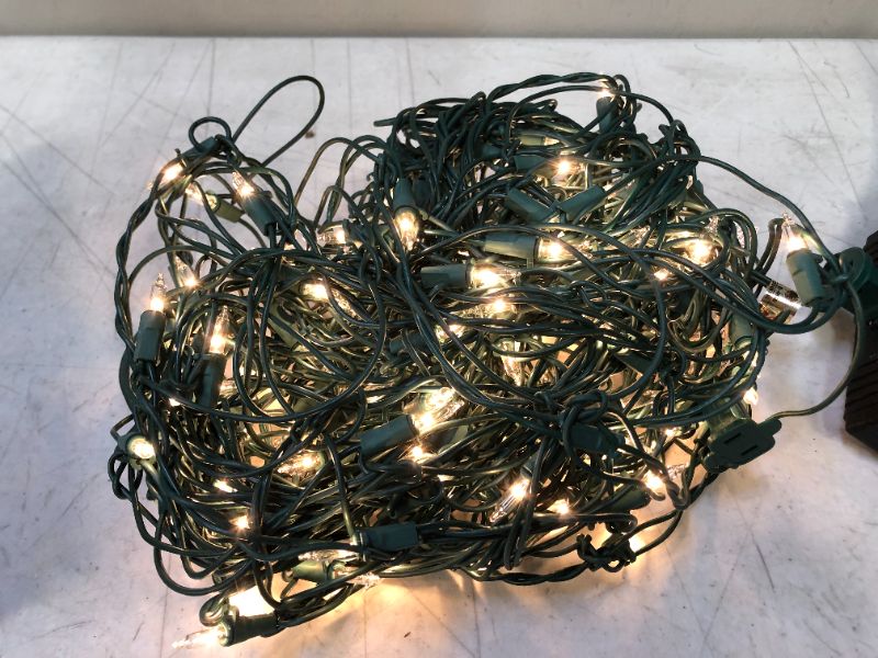 Photo 1 of 48 in. x 72 in. 150-Light Warm White Mini LED Net Lights
