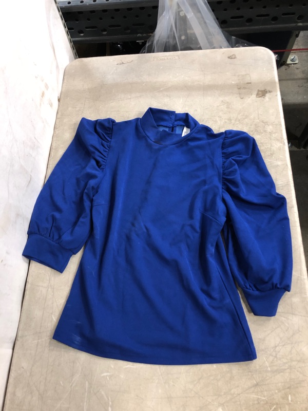 Photo 1 of Generic Blue Puff Sleeve Blouse. Medium