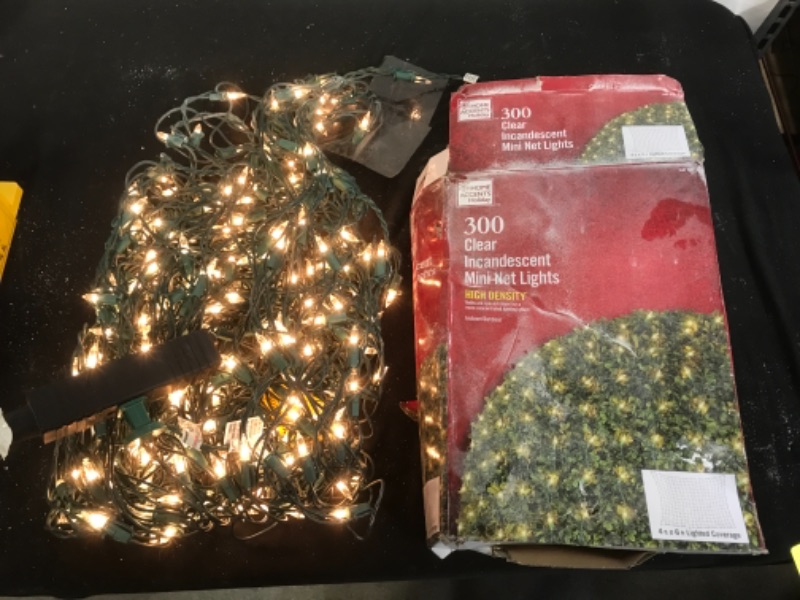 Photo 1 of Home Accents Holiday 300 Clear Incandescent Mini Net Lights