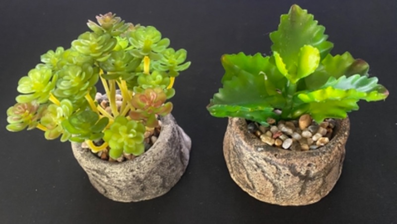 Photo 1 of Artificial Succulent Plant Decoration (Set of 2)