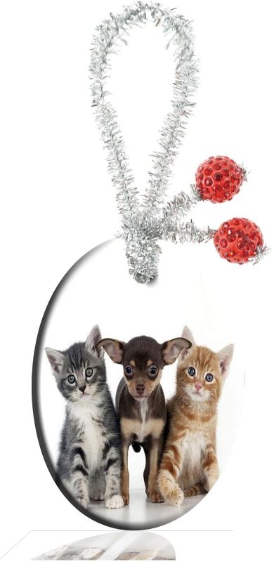 Photo 1 of FQJNS Custom Fashion Personalized Oval Porcelain Ornaments Christmas Ornaments Home Decoration (Chihuahua Puppy and Kittens)
