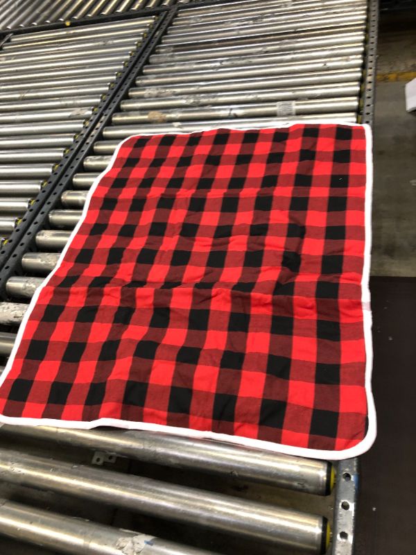 Photo 1 of 26 x 34 inch plaid mat 