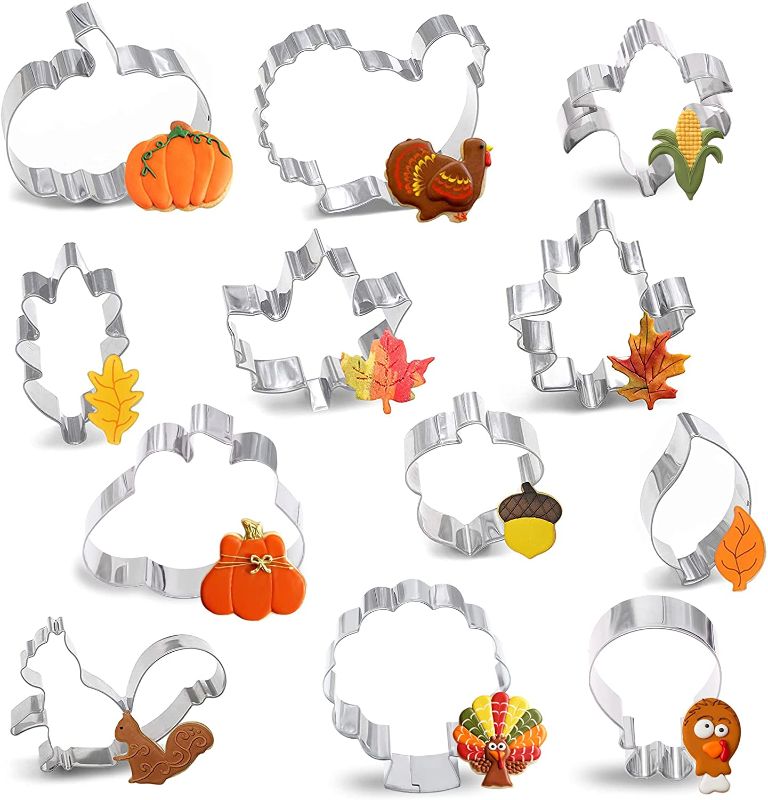 Photo 1 of 12PCS Large Fall Thanksgiving Cookie Cutter Set - Turkey,Pumpkin,Maple/Oak/Teardrop Leaf,Squirrel, Acorn,Corn,and Turkey Leg
