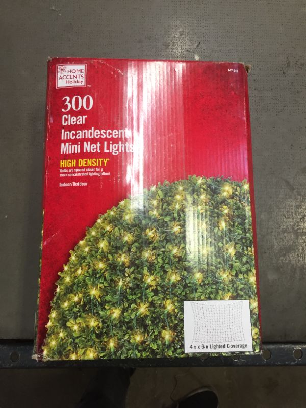 Photo 1 of  Home Accents Holiday 300-Mini Net Lights High Density Clear Lights 4' x 6'