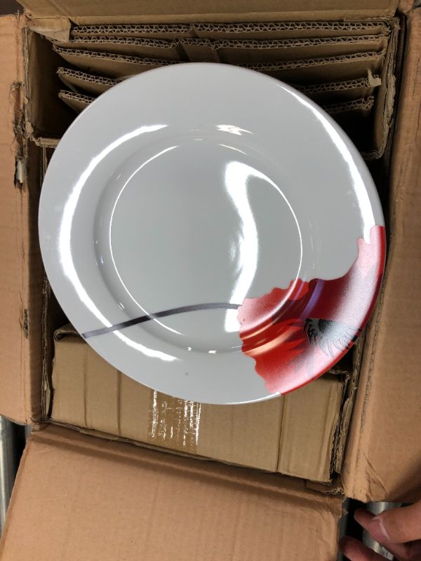 Photo 1 of Amazon Basics 18-Piece Kitchen Dinnerware Set, Plates, Dishes, Bowls, Service for 6, Poppy, BOWL CHIPPED
