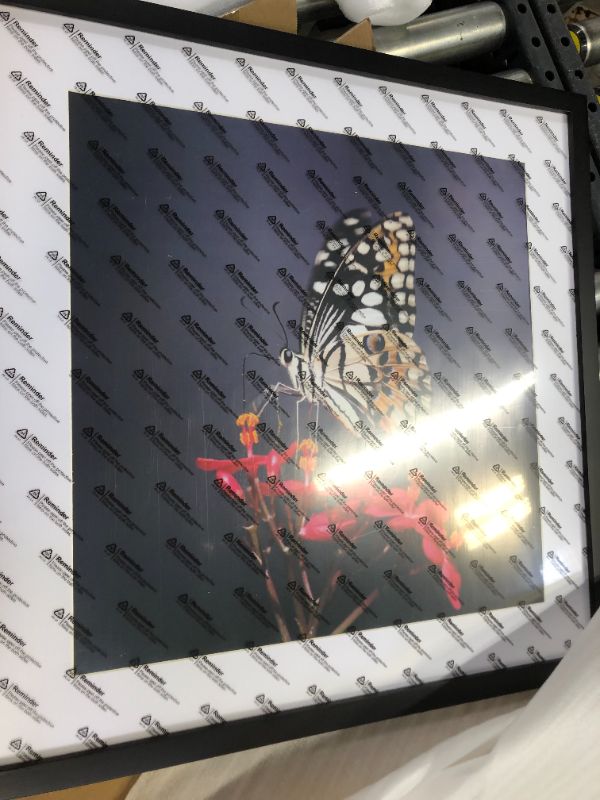 Photo 2 of 2 set of 20x20 butterfly print 