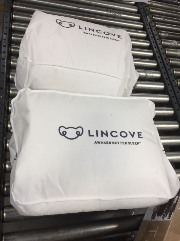 Photo 2 of Lincove Cloud Natural Canadian White Down Luxury Sleeping Pillow - 625 Fill Power, 500 Thread Count Cotton Shell, Made in Canada, King - Firm, 2 Pack
