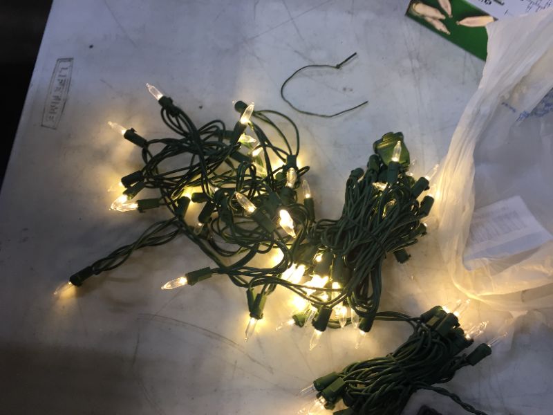 Photo 2 of 29.5 ft. 100-Light Warm White Mini LED Lights on Green Wire
