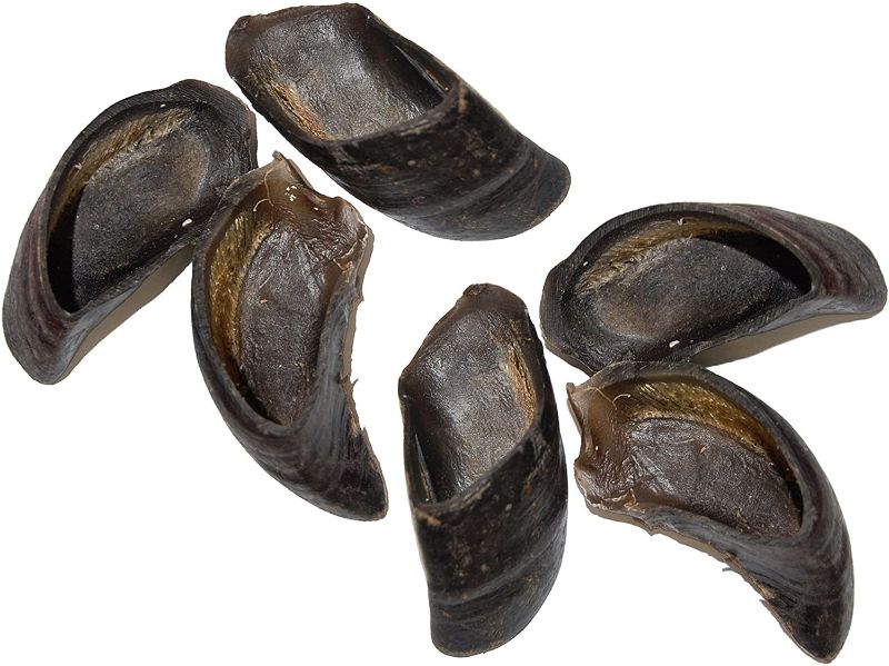 Photo 1 of 100% Cow Hooves (6 Pack)---EXPIRES 06/2023---
