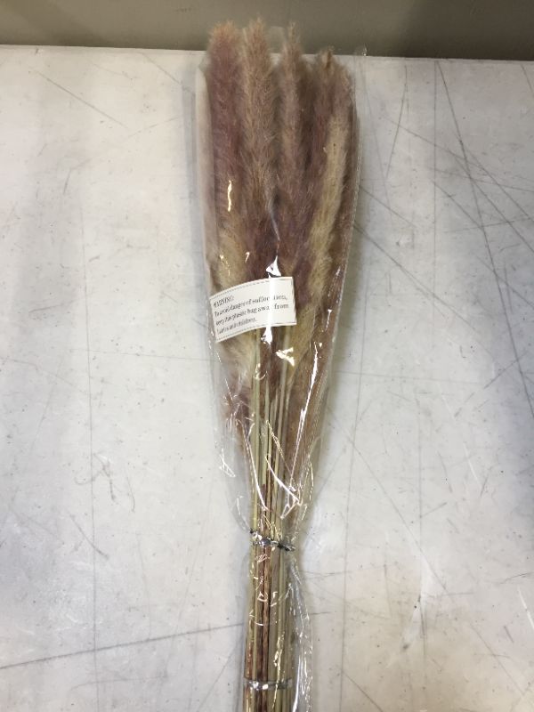 Photo 2 of 17.7" Natural Dried Pampas Grass Decor Tall - 30pcs Dried Flowers for Vases. Boho Flowers for Pampas Grass Vase. Vase Fillers for Dried Flowers Arrangements
