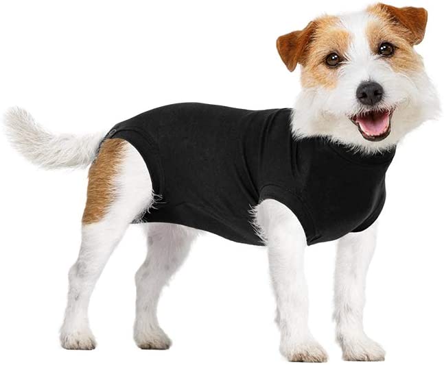 Photo 1 of X Small Suitical Recovery Suit for Dog, Black
