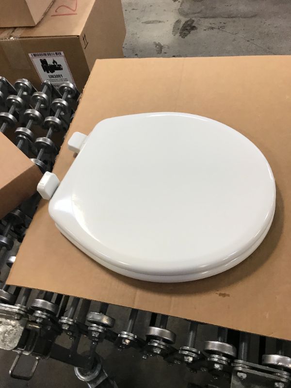 Photo 4 of Mayfair  Slow Close Round  White  Molded Wood  Toilet Seat