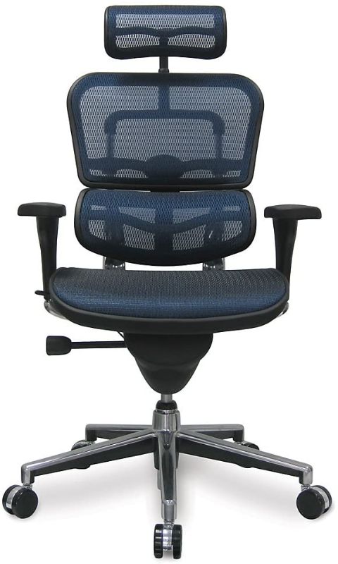 Photo 1 of Ergohuman Eurotech Mesh Chair - 18.1A 22.9" Seat Height - High-Back Chair with Headrest - Blue - Blue
