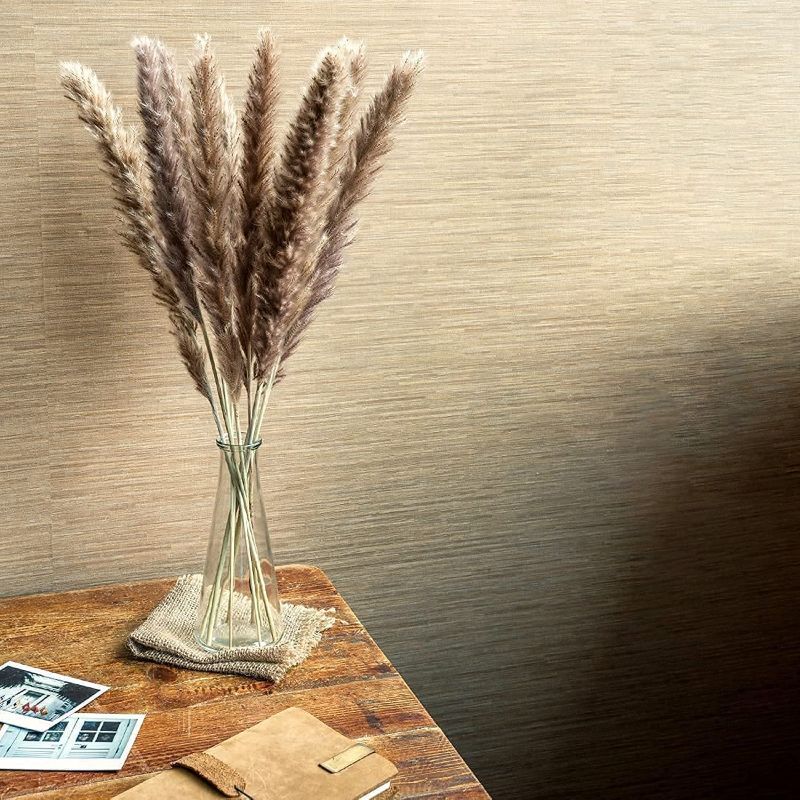 Photo 1 of 17.7" Natural Dried Pampas Grass Decor Tall - 30pcs Dried Flowers for Vases.  ***just dried pampas, not glass**