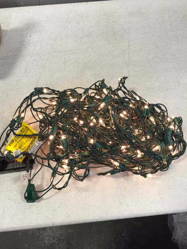 Photo 2 of Home Accents Holiday 150 Mini Incandescent Clear Net Lights