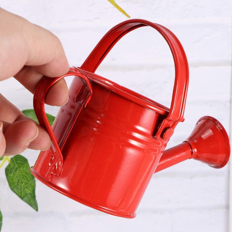 Photo 4 of Cabilock 2pcs Metal Watering Can Small Child Sized Garden Watering Pot Watering Kettle Flower Water Sprayer Bottle for Garden Home Plants Flower Red and Light Blue