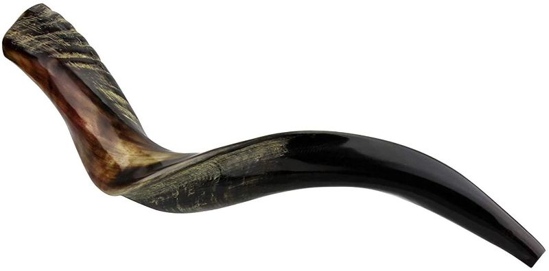 Photo 1 of KOSHER ODORLESS POLISHED YEMENITE SHOFAR | Natural Kudu Horn | Smooth Mouthpiece for Easy Blowing | Includes Carrying Bag and Shofar Blowing Guide | 20"-24"