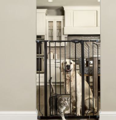 Photo 1 of Carlson Dogs Walk Through Gate - Black - Extra Tall