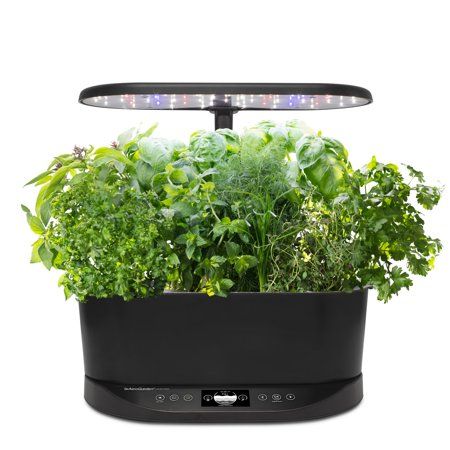 Photo 1 of AeroGarden Bounty Basic, Black with Gourmet Herbs Seed Pod Kit in Black