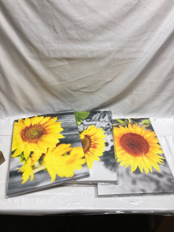 Photo 1 of 3 PACK SUNFLOWER WALL PICTURES