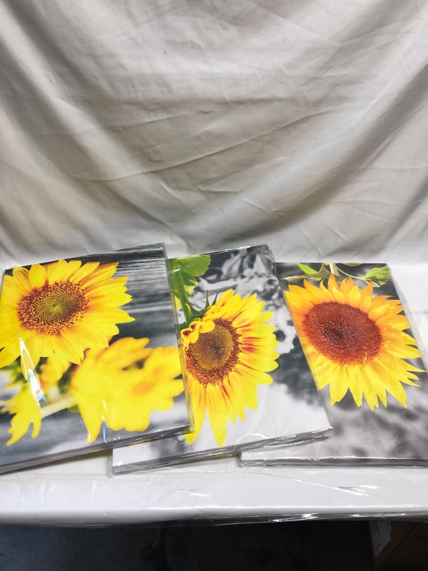 Photo 1 of 3 PACK SUNFLOWER WALL PICTURE FRAMES 