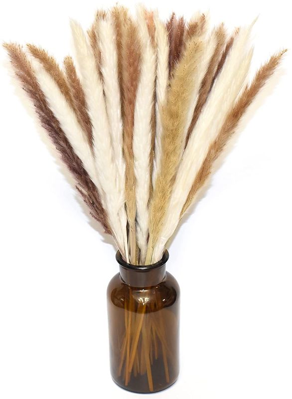 Photo 1 of Boho Pampas Grass Decor, 40 Pcs Brown and White Small Pampas Reeds, Natural Dried Plants for Home Décor by KABYTWO