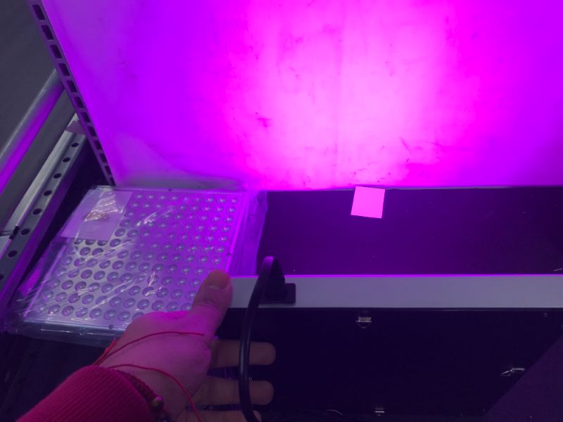 Photo 3 of 45W LED Grow Light Full Spectrum Panel Indoor Plants Growing Lamp s with IR & UV Plant Lights for Seedling Vegetable and Flower (2 Pack)