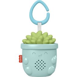 Photo 1 of Fisher-Price Succulent Soother