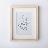 Photo 1 of 11" x 14" Wild Blossom Art Print - Threshold™ designed with Studio McGee
