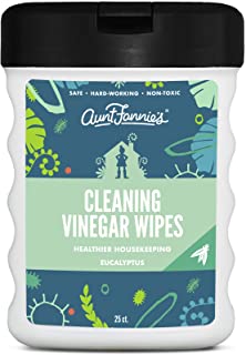 Photo 1 of Aunt Fannie's Travel Size Vinegar Cleaning Wipes, 25 Count (Eucalyptus, Single Pack)