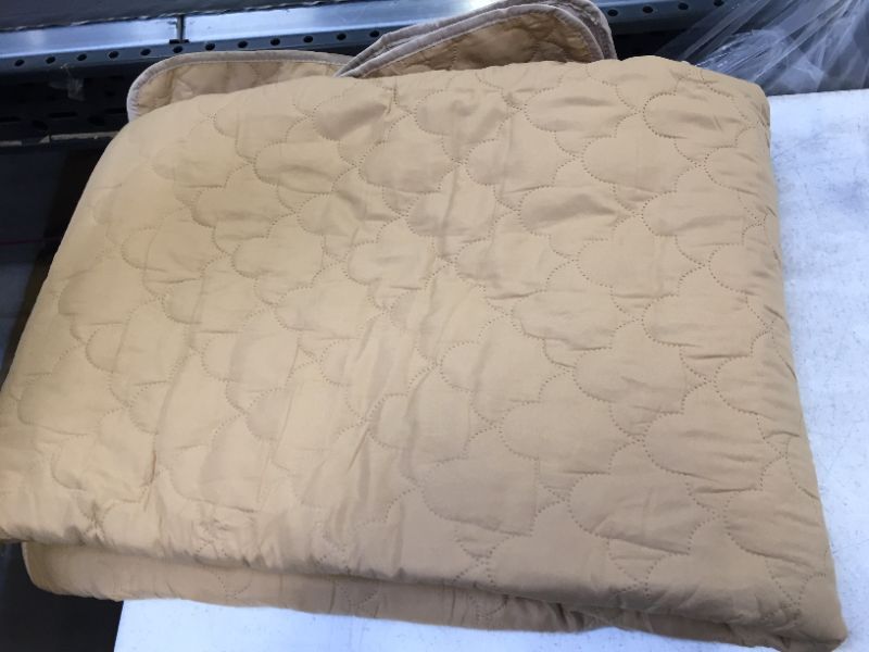 Photo 1 of dog blanket 82 x 108 inches color beige 