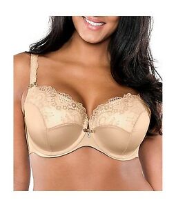 Photo 1 of CURVY COUTURE TULIP LACE BRA 44G