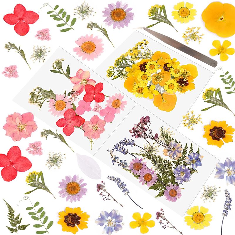 Photo 1 of LASOFAMERE 63Pcs Real Dried Pressed Flowers for Resin Natural Colorful Dried Flowers Leaves Set Mixed Multiple Dry Flower, for Resin Molds,Soap Making, Nails, DIY Art Crafts, Jewelry Pendants
