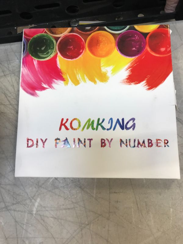 Photo 2 of Komking Paint by Numbers for Adults