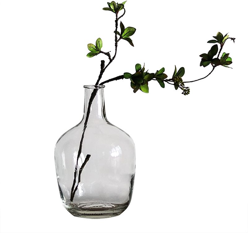 Photo 1 of BUICCE Clear Glass Vases for Decor Large Bubble Vintage Floor Jug Vase for Branches Faux Artificial Flowers Tabletop Kitchen Home Indoor Decoration.
