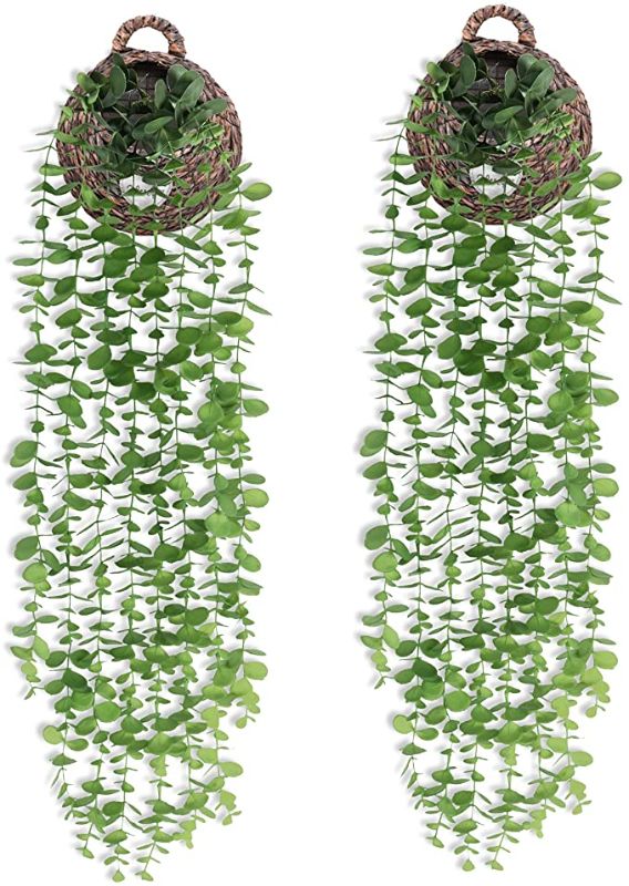 Photo 1 of 2PC LOT
2 Pack Fake Hanging Plants Eucalyptus Garland Artificial Greenery Vines for Room Garden Home Wall Indoor Outdoor Decor(Basket Not Included)

HOMOTEK 2 Pack Black Door Stops, 3 inch Heavy Duty Solid Stainless Steel Door Stoppers with Soft Rubber Ti
