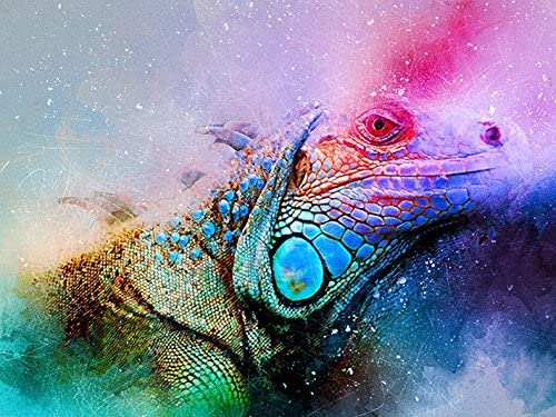 Photo 1 of 3PC LOT
Andux 5D Diamond Painting Kits Full Round Drill Arts Craft for Home Wall Decor ZSH-01 (Dream Chameleon 30 x 40cm)

Hallmark Paper Wonder Mothers Day Pop Up Card for Mom (Mason Jar, Love You)

Hallmark Paper Wonder Mothers Day Pop Up Card (Succulen