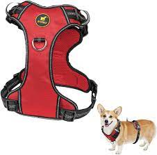 Photo 1 of zhebu no pull dog harness reflective walking dog size medium