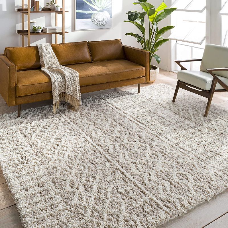 Photo 1 of Artistic Weavers Bohemian Beige Area Rug, 5'3" x 7'3"
