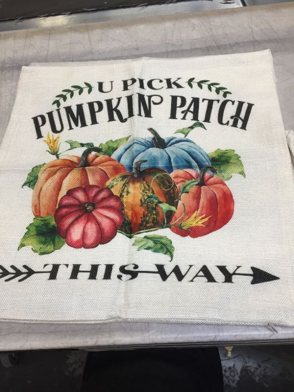 Photo 3 of Decorative Fall Seasonal Couch Pillow Covers 4 pack