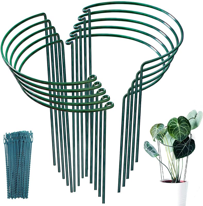 Photo 1 of 10 Pack Garden Plant Supports Stakes Metal 10"Widex16"High Interlock Round Garden Plant Support Ring Border Support Plant Support Ring Cage for Peony Rose Flowers Vine Tomato with 20pack Plant Ties

