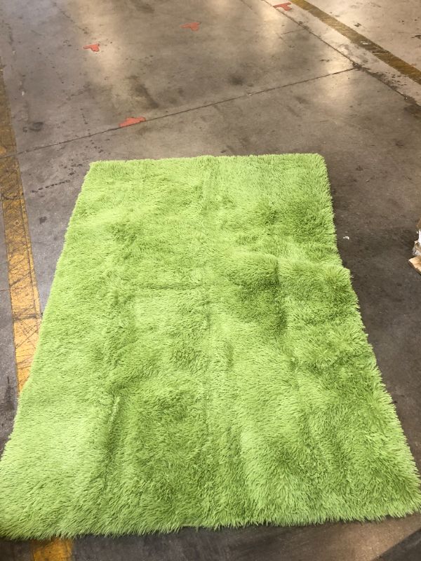Photo 1 of Generic Green Area Rug 48x68 inch