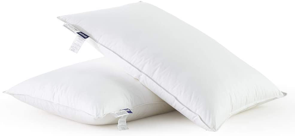 Photo 1 of 2PACK DRTOOR GOOSE DOWN PILLOW QUEEN WHITE
