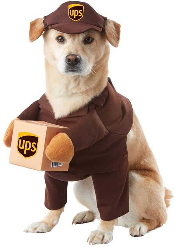 Photo 1 of California Costumes Pet Ups Pal Dog Costume Costume SMALL
