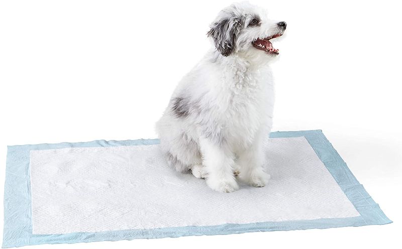 Photo 1 of Amazon Basics Dog and Puppy Pads, Leak-proof 5-Layer Pee Pads with Quick-dry Surface for Potty Training
